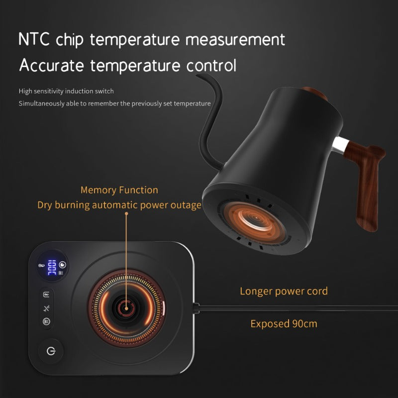 Gooseneck Electric Kettle 1200W - Smart Temp & Insulation