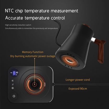 Gooseneck Electric Kettle 1200W - Smart Temp & Insulation