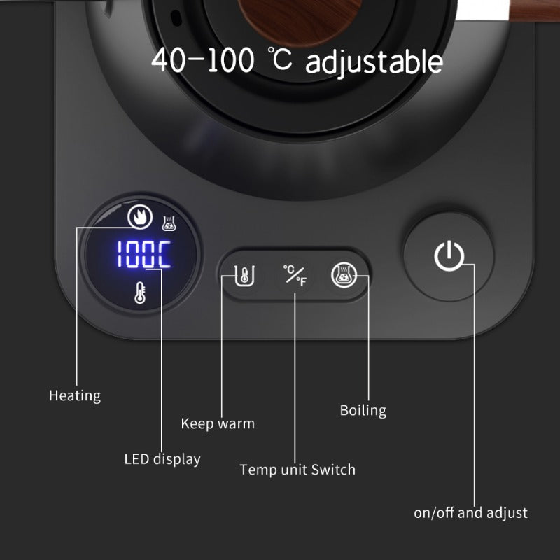 Gooseneck Electric Kettle 1200W - Smart Temp & Insulation