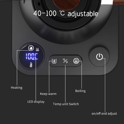 Gooseneck Electric Kettle 1200W - Smart Temp & Insulation